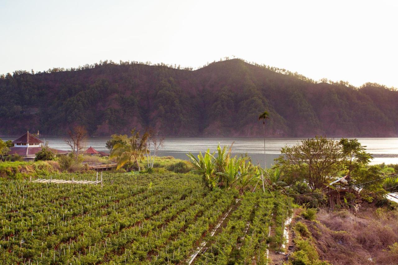 Villa Jempana Kintamani エクステリア 写真